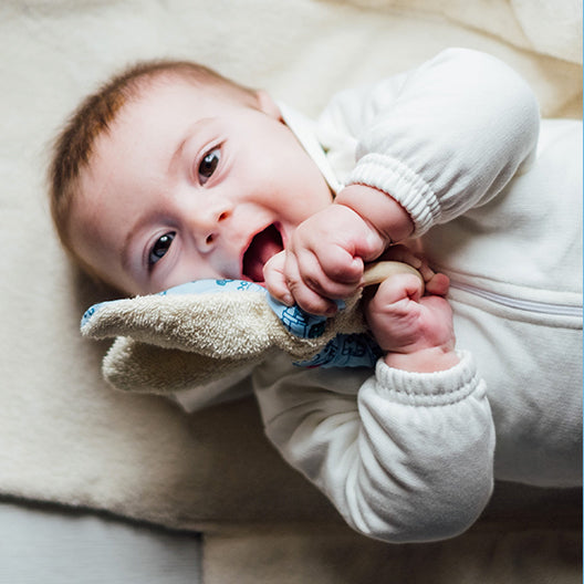Orecchie di coniglio da mordicchiare per la dentizione